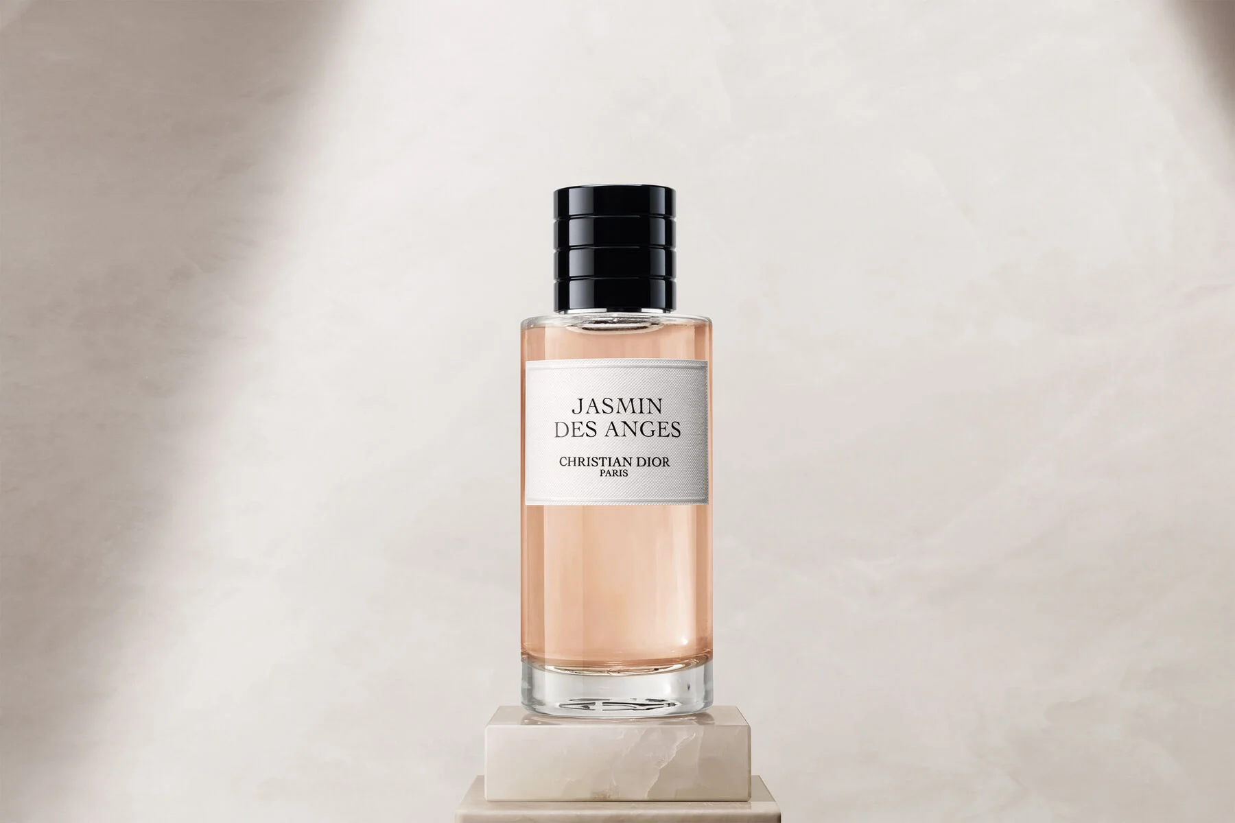 Jasmin des Anges